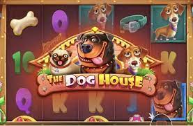 신나는 게임을 경험하라! 도그하우스 슬롯 신나는 게임을 경험하라! 도그하우스 슬롯